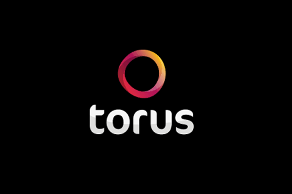 Torus logo.