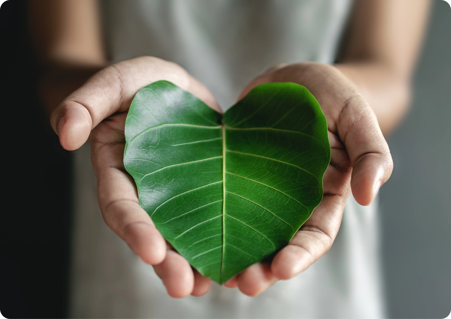 image of a hand holding a heart shaped leaf